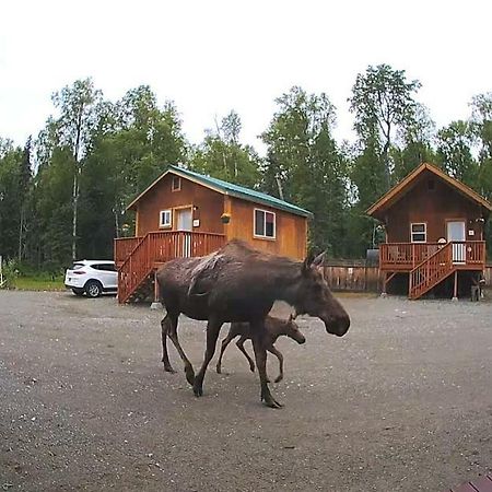 Talkeetna Love-Lee Cabins Hotel Luaran gambar