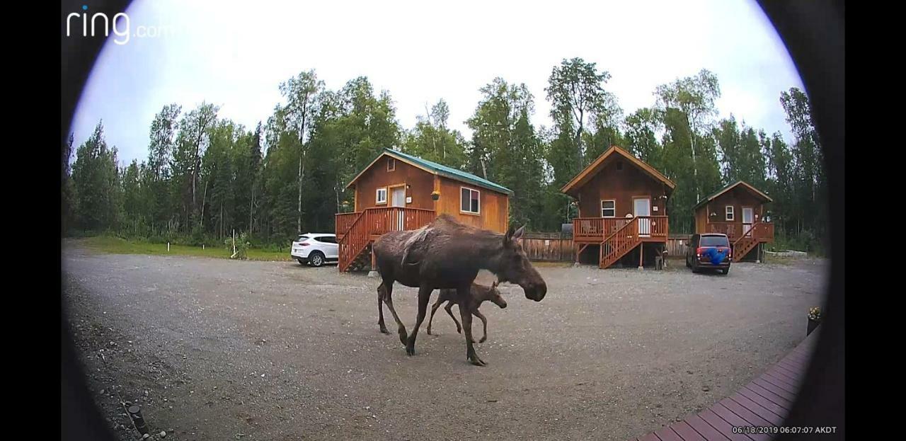 Talkeetna Love-Lee Cabins Hotel Luaran gambar
